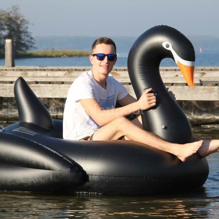 comfortpool_zwarte_zwaan